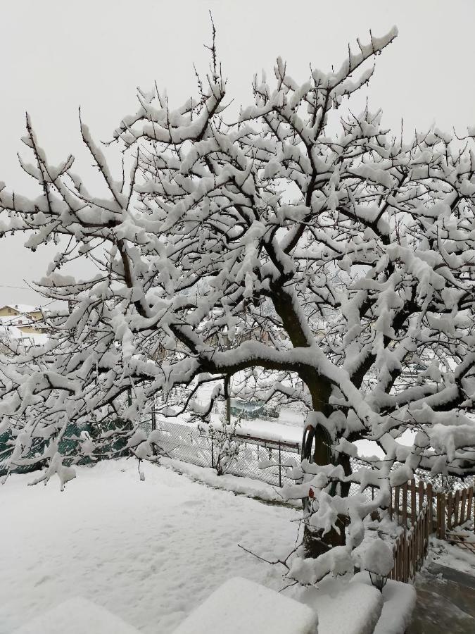 Casa Vacanza Da Ghislin Teglio Exteriér fotografie