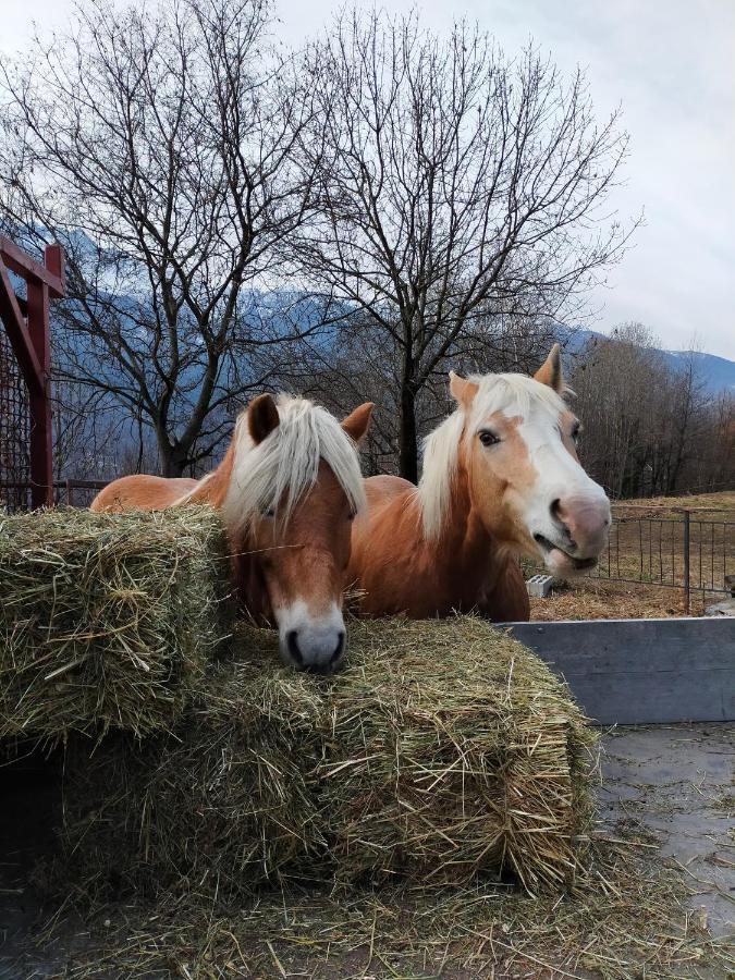 Casa Vacanza Da Ghislin Teglio Exteriér fotografie